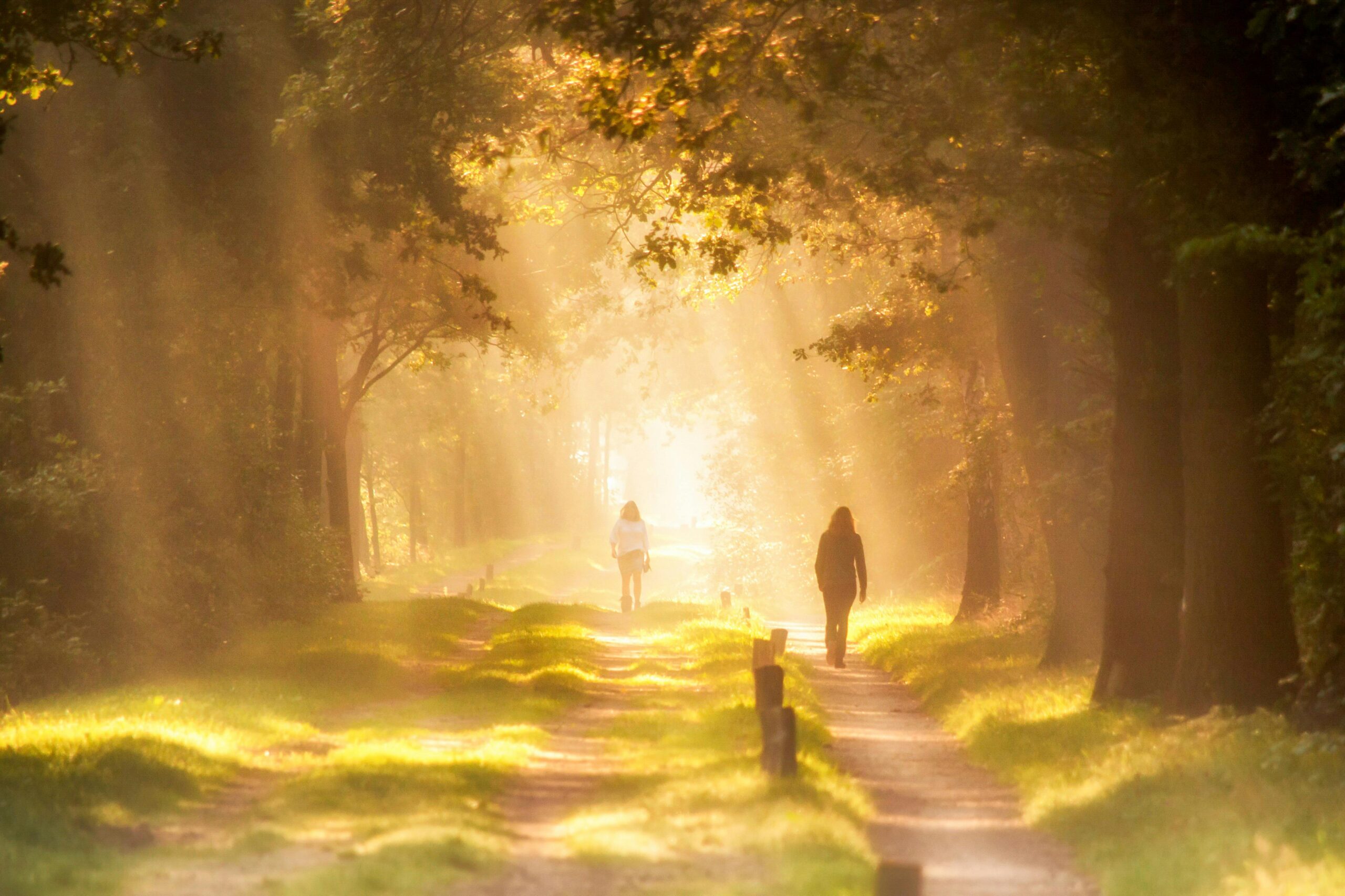 Chemin de lumière — accompagnement en Maïeusthésie à Pau